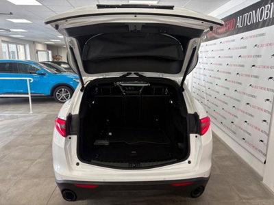 Alfa Romeo Stelvio Stelvio 2.0 Turbo 200 CV AT8 Q4 B-Tech (20)