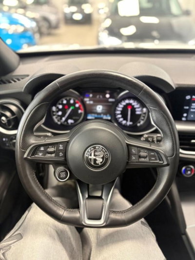 Alfa Romeo Stelvio Stelvio 2.0 Turbo 200 CV AT8 Q4 B-Tech (8)