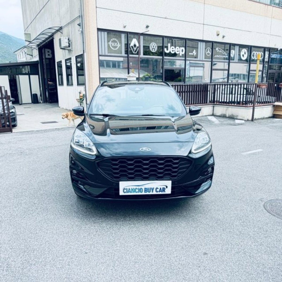Ford Kuga 2.5 Plug In Hybrid 225 CV CVT 2WD ST-Line (5)