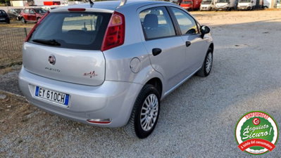 Fiat Punto 1.4 8V 5 porte Natural Power Street (7)