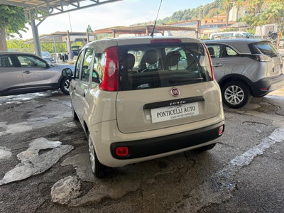 Fiat Panda 1.2 Easy (3)