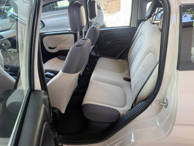 Fiat Panda 1.2 Easy (8)