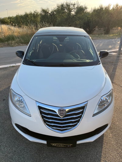 Lancia Ypsilon 1.2 69 CV 5 porte Silver (20)