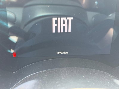 Fiat Panda Cross Cross 1.0 FireFly S&S Hybrid (9)