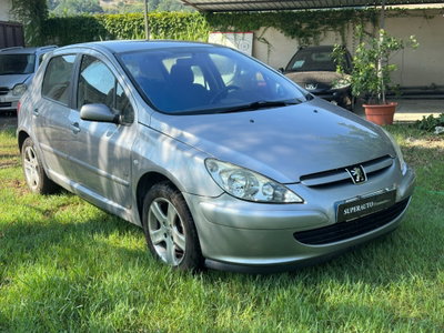 Peugeot 307 HDi 5p. XS (2)