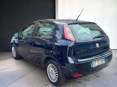 Fiat Punto Evo 1.2 5 porte S&S Dynamic (3)