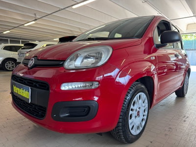 Fiat Panda 1.2 Easy usata
