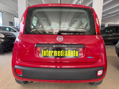 Fiat Panda 1.2 Easy (3)