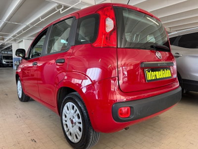 Fiat Panda 1.2 Easy (5)