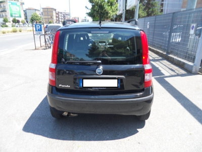 Fiat Panda 1.2 Dynamic (2)