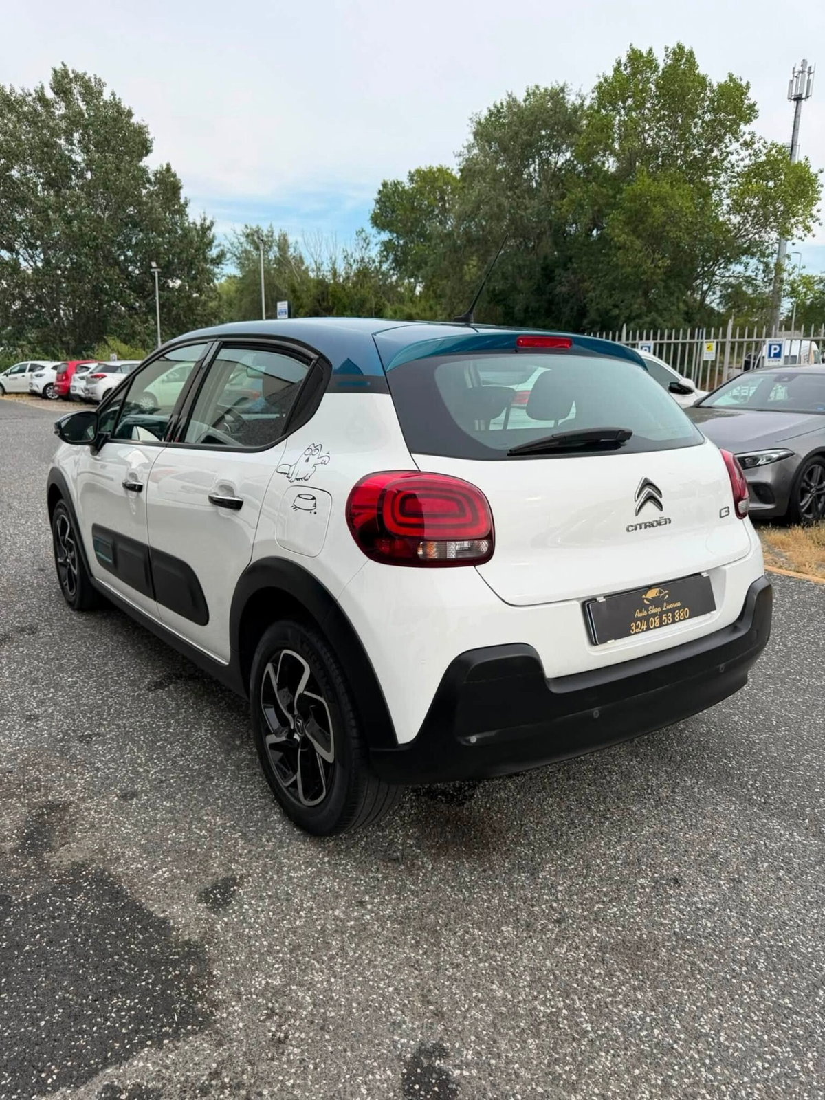 Citroen C3 BlueHDi 100 S&S Shine Pack (10)