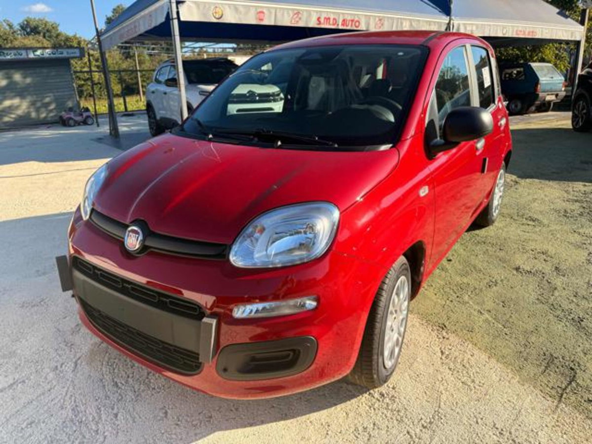Fiat Panda 1.0 firefly hybrid Icon s&s 70cv (2)
