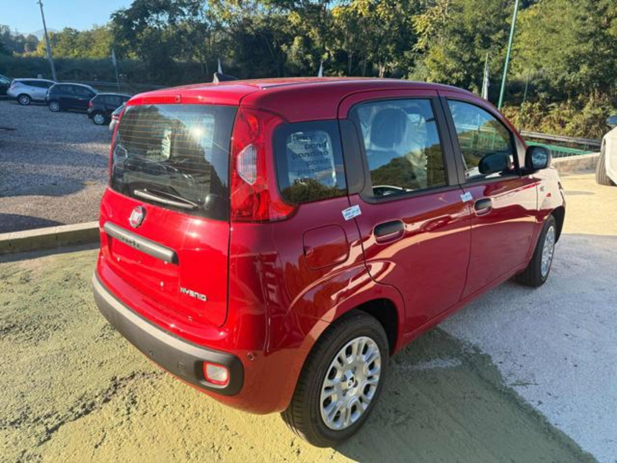Fiat Panda 1.0 firefly hybrid Icon s&s 70cv (3)