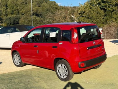Fiat Panda 1.0 firefly hybrid Icon s&s 70cv (4)