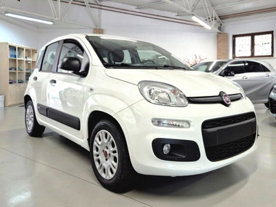 Fiat Panda 1.2 Easy usata