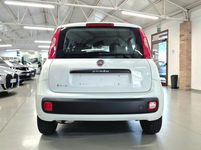 Fiat Panda 1.2 Easy (12)