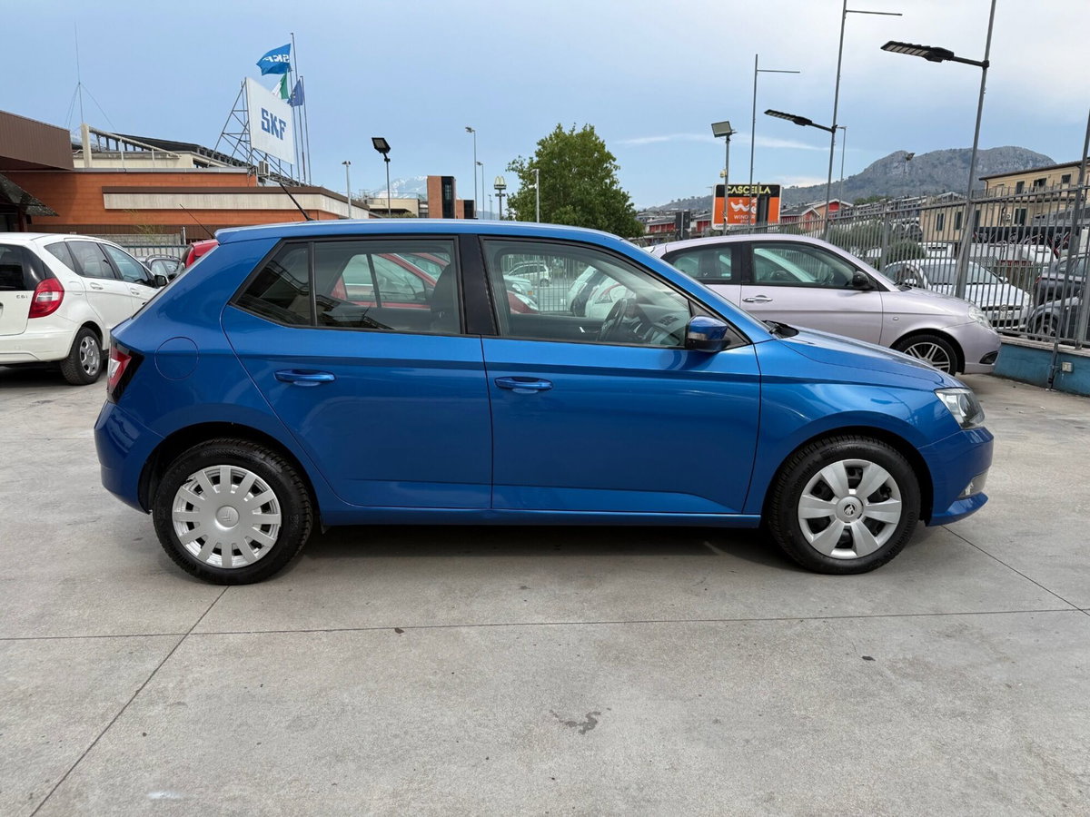 Skoda Fabia 1.4 TDI 90 CV DSG Style (4)