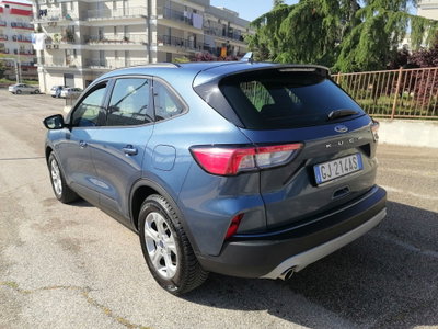 Ford Kuga 1.5 EcoBlue 120 CV 2WD Titanium (6)