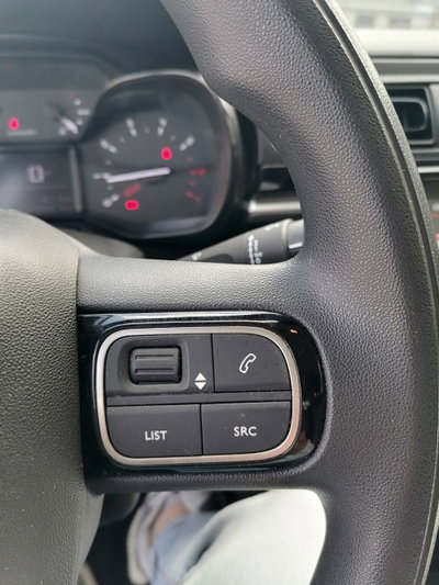 Citroen C3 BlueHDi 100 S&S Shine (19)