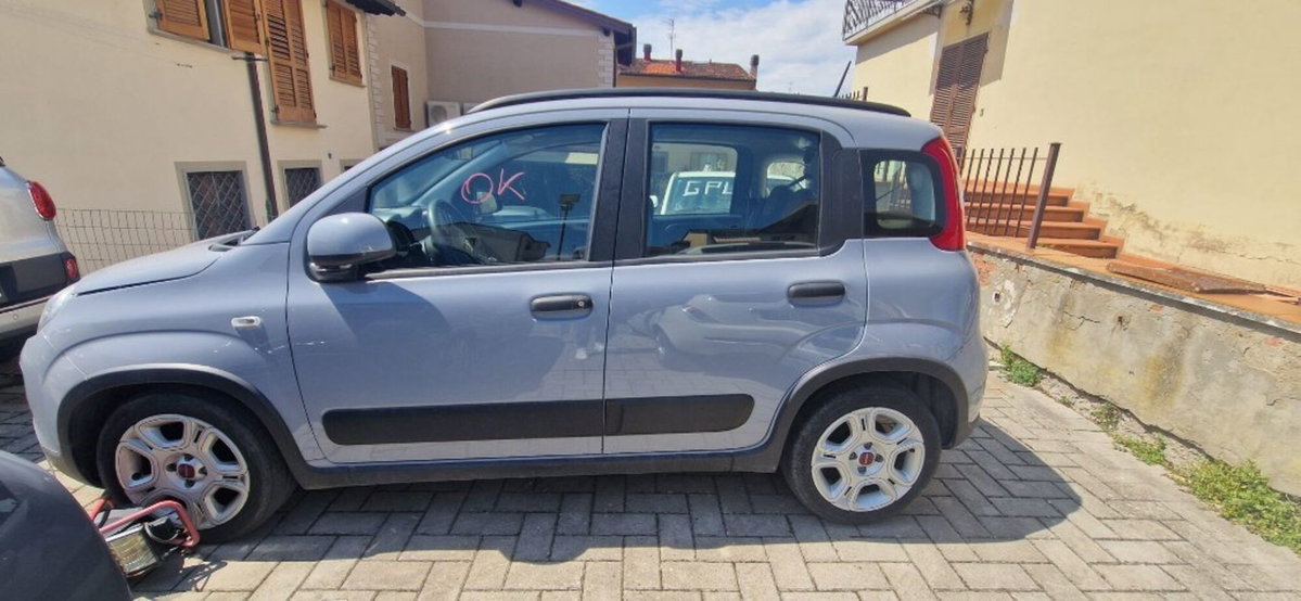 Fiat Panda 1.0 FireFly S&S Hybrid City Cross (2)