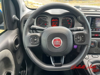 Fiat Panda Cross Cross 1.0 FireFly S&S Hybrid (11)