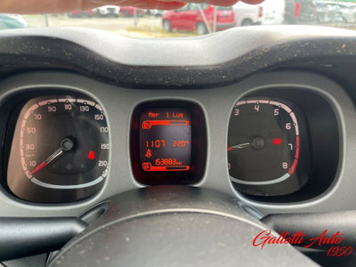 Fiat Panda Cross Cross 1.0 FireFly S&S Hybrid (12)