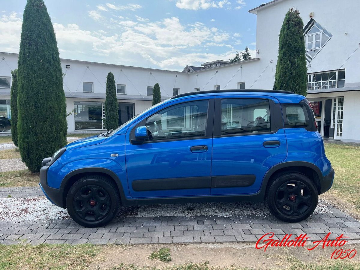 Fiat Panda Cross Cross 1.0 FireFly S&S Hybrid (3)