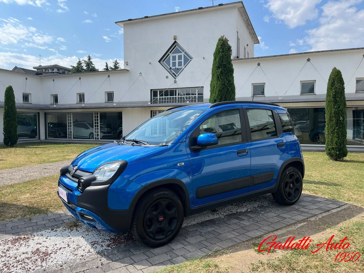 Fiat Panda Cross Cross 1.0 FireFly S&S Hybrid (4)