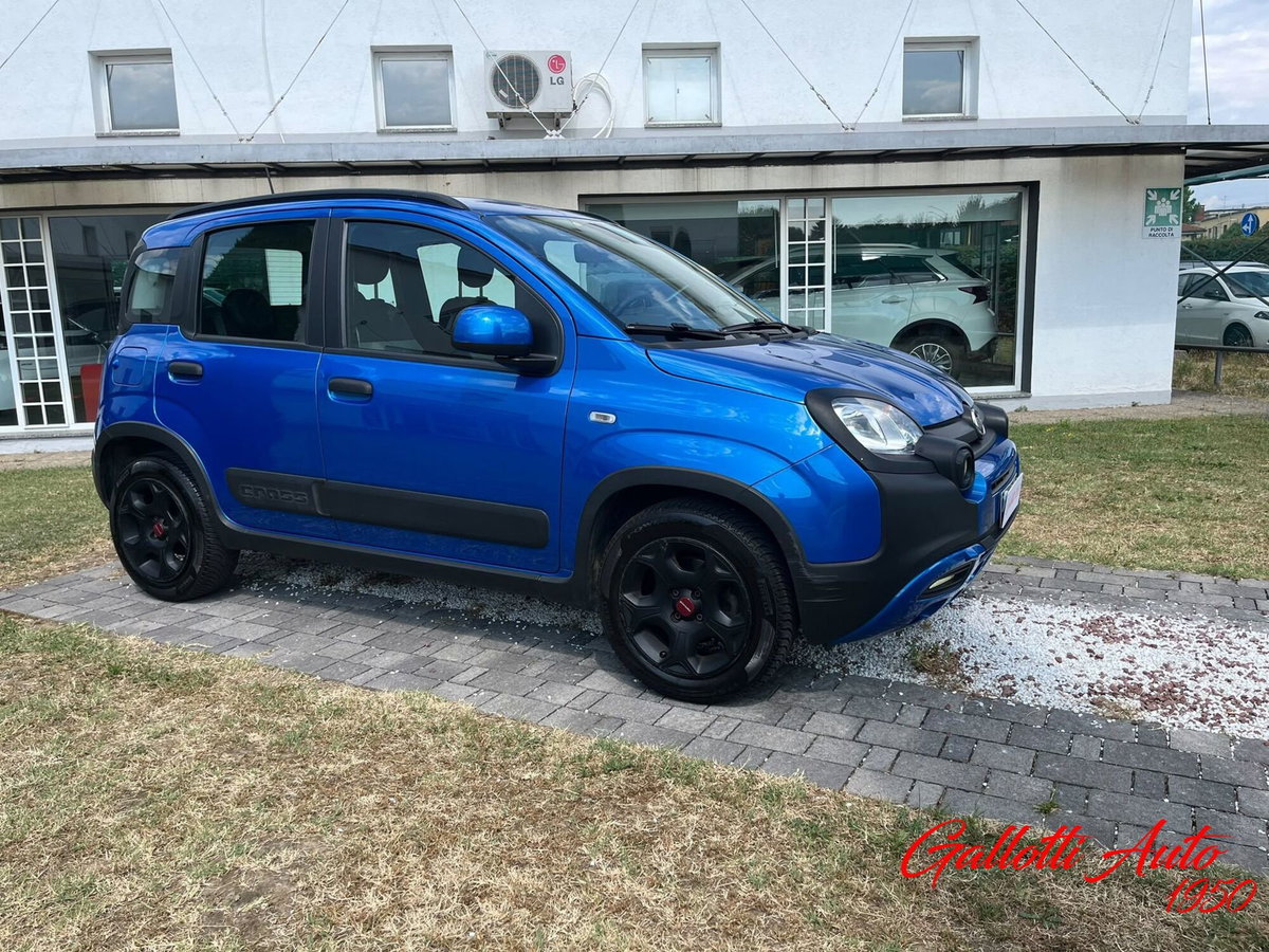 Fiat Panda Cross Cross 1.0 FireFly S&S Hybrid (6)
