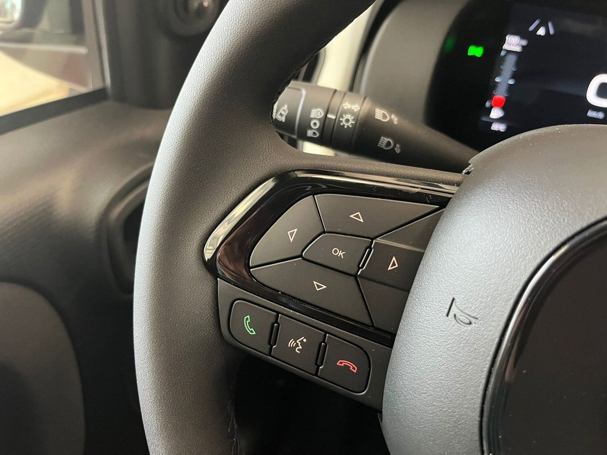 Fiat Panda Cross Cross 1.0 FireFly S&S Hybrid (19)