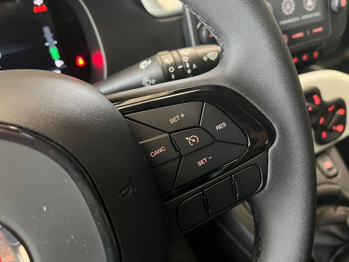 Fiat Panda Cross Cross 1.0 FireFly S&S Hybrid (20)