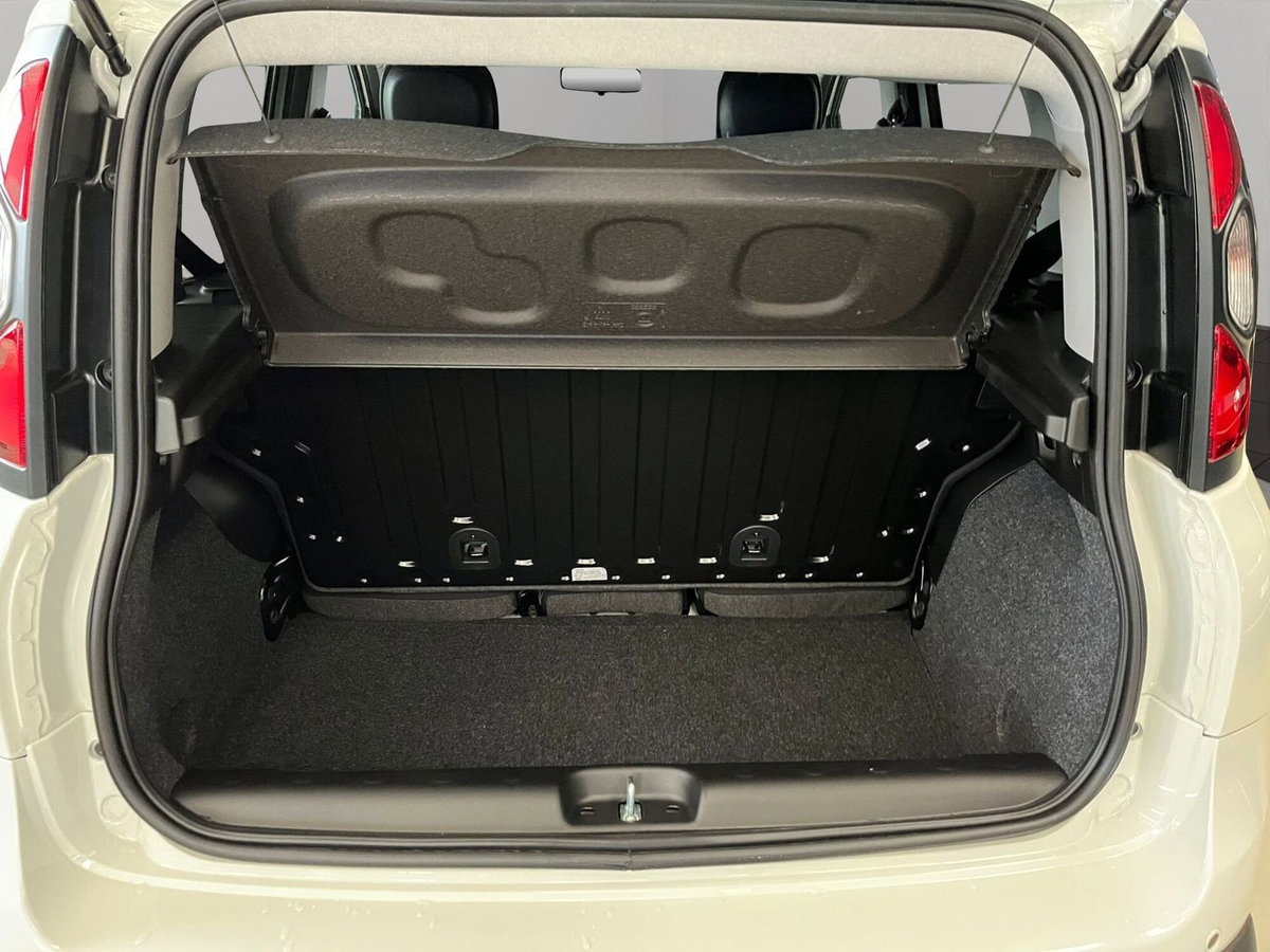 Fiat Panda Cross Cross 1.0 FireFly S&S Hybrid (6)