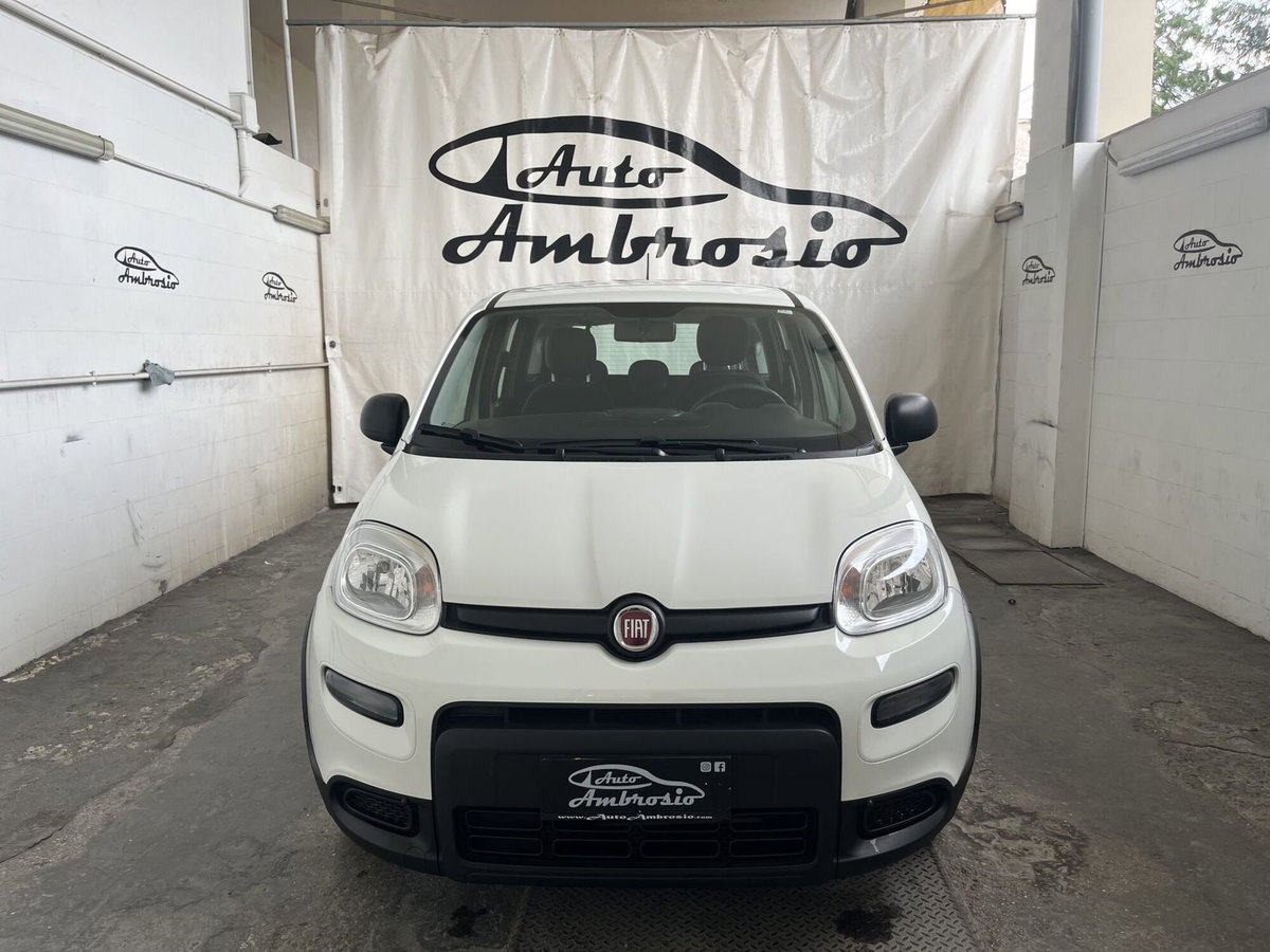 Fiat Panda Cross Cross 1.0 FireFly S&S Hybrid (2)