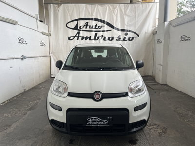 Fiat Panda Cross Cross 1.0 FireFly S&S Hybrid (2)