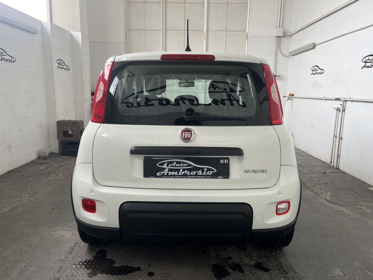 Fiat Panda Cross Cross 1.0 FireFly S&S Hybrid (3)