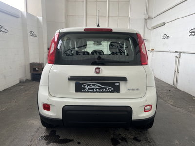 Fiat Panda Cross Cross 1.0 FireFly S&S Hybrid (3)