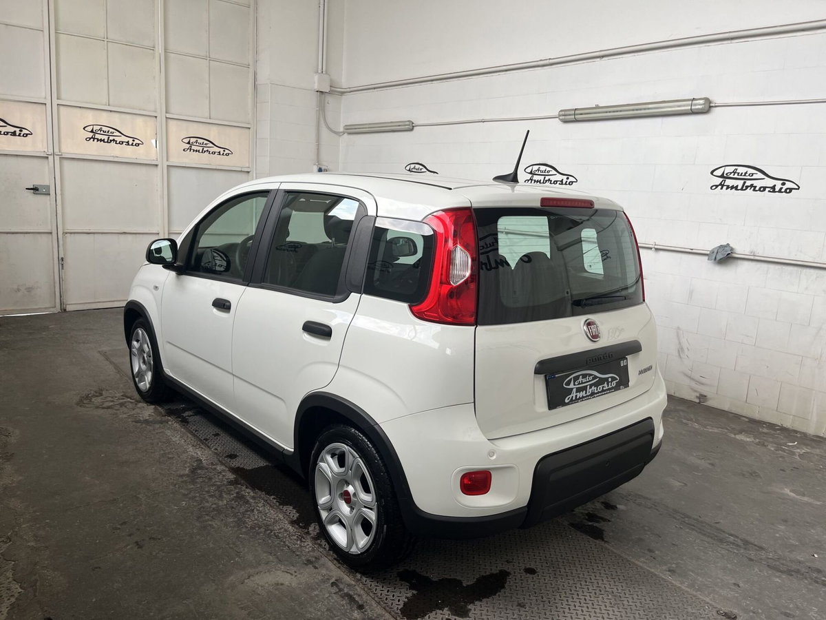 Fiat Panda Cross Cross 1.0 FireFly S&S Hybrid (4)