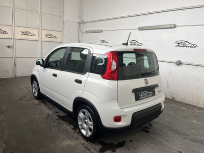 Fiat Panda Cross Cross 1.0 FireFly S&S Hybrid (4)