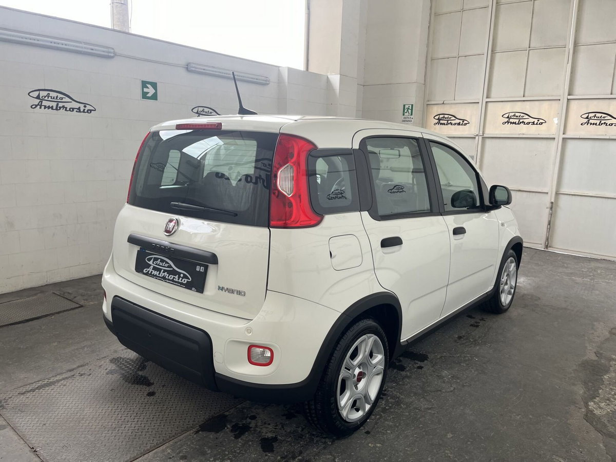 Fiat Panda Cross Cross 1.0 FireFly S&S Hybrid (5)