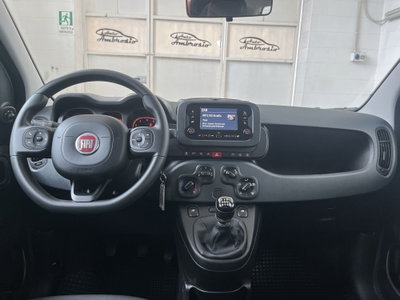 Fiat Panda Cross Cross 1.0 FireFly S&S Hybrid (9)
