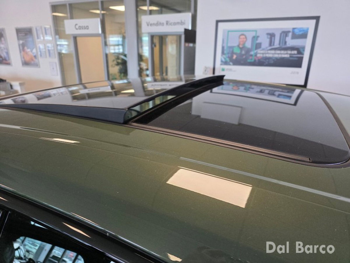 Audi Q4 Sportback 40 S line edition (9)