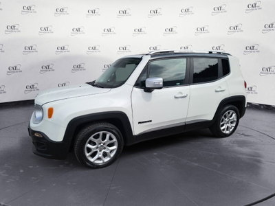 Jeep Renegade 1.6 Mjt 120 CV Limited (2)