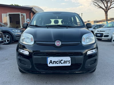 Fiat Panda 1.2 Easy usata