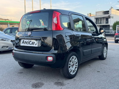 Fiat Panda 1.2 Easy (15)