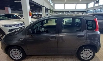 Fiat Panda 1.2 Easy (2)
