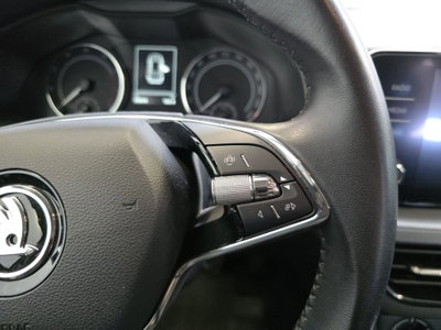 Skoda Kamiq 1.0 TSI 110 CV DSG Ambition (16)