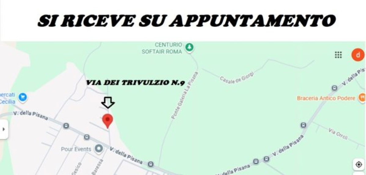 Dacia Duster 1.6 115 CV S&S 4x2 GPL Serie Speciale Brave2 (2)