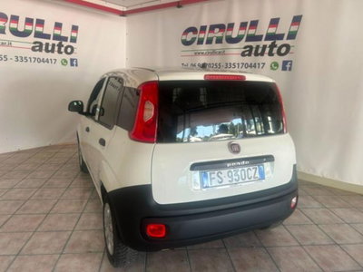 Fiat Panda 1.2 Pop Van 2 posti (3)