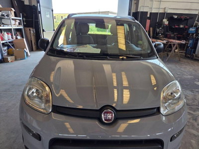 Fiat Panda 1.0 FireFly S&S Hybrid City Cross (3)
