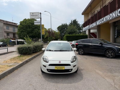 Fiat Punto 1.2 8V 5 porte Lounge (2)